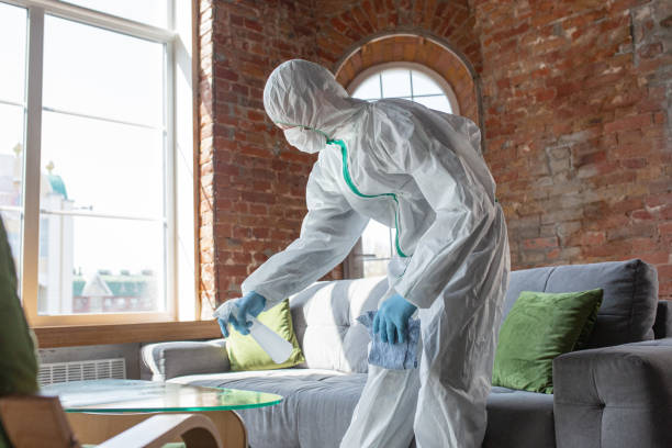 Why You Should Choose Our Mold Remediation Services in Scottsville, KY